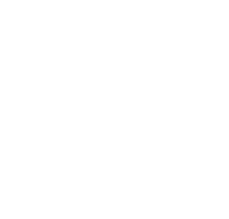 Our Vision