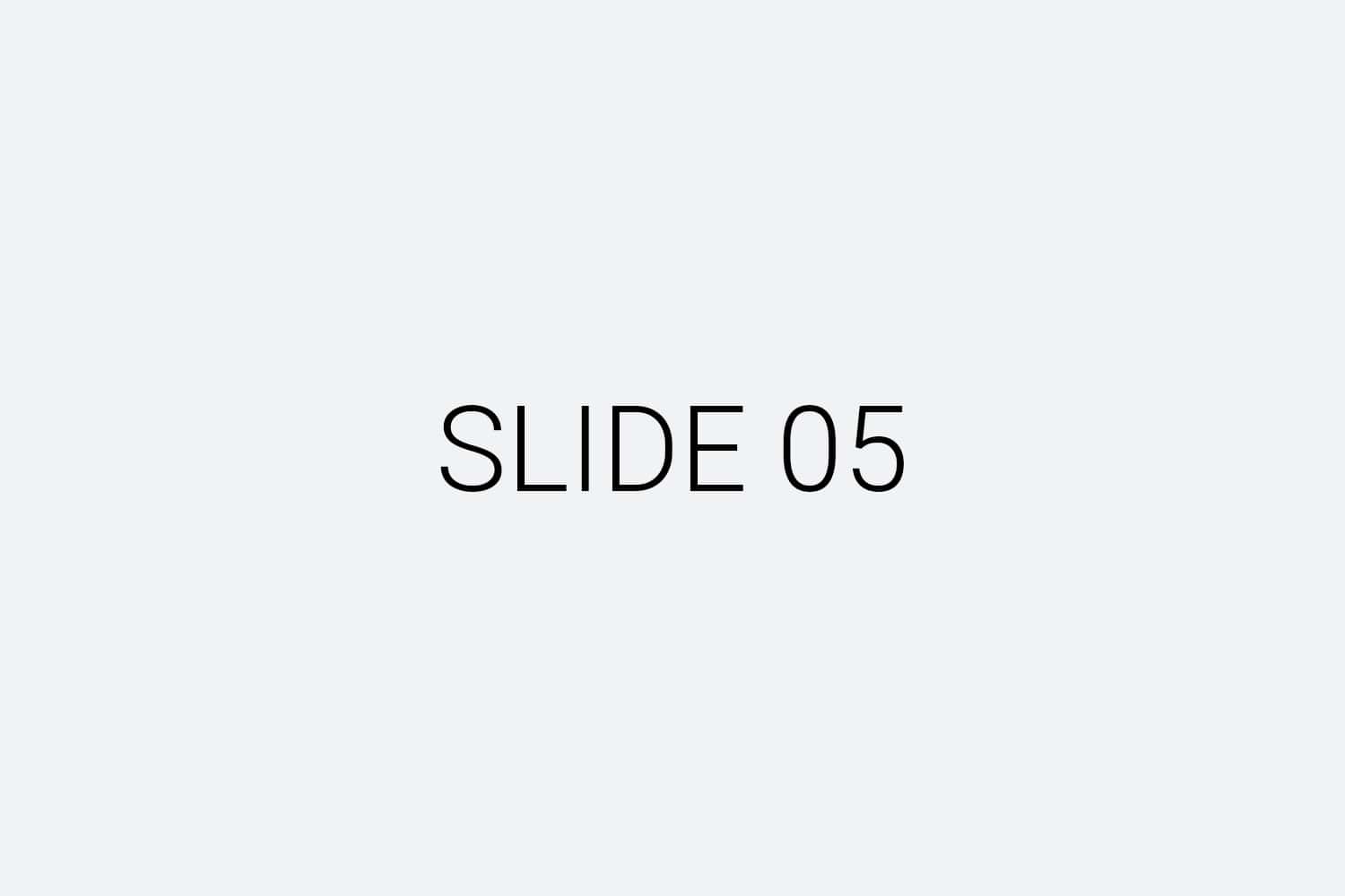 slide-05