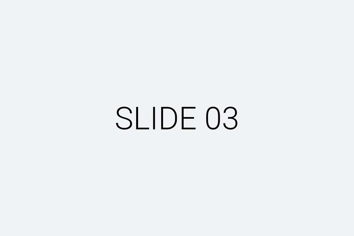 slide-03
