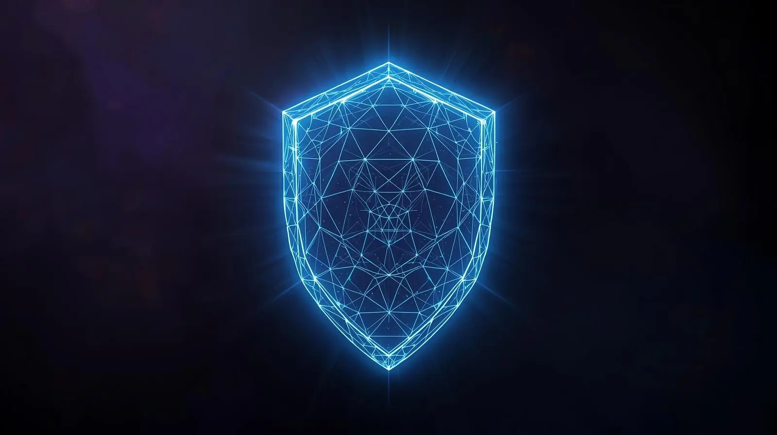 The story behind Signal & Scale