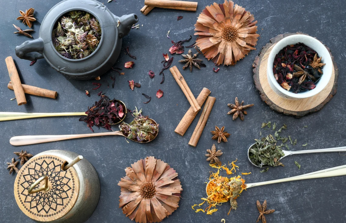 Seasonal Harmony Yoga