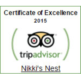 Certificate of Excellence