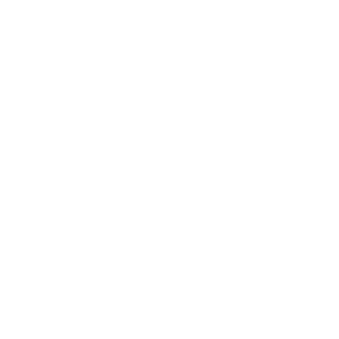 Prebiotic Fiber