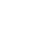 Design Icon