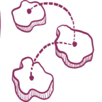 Understanding NID Campuses