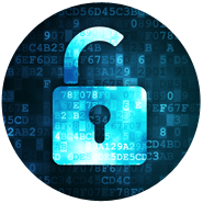 Digital Badge Program