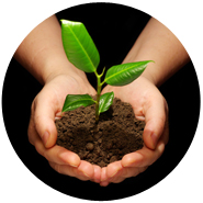 Maintain Certification