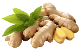ginger