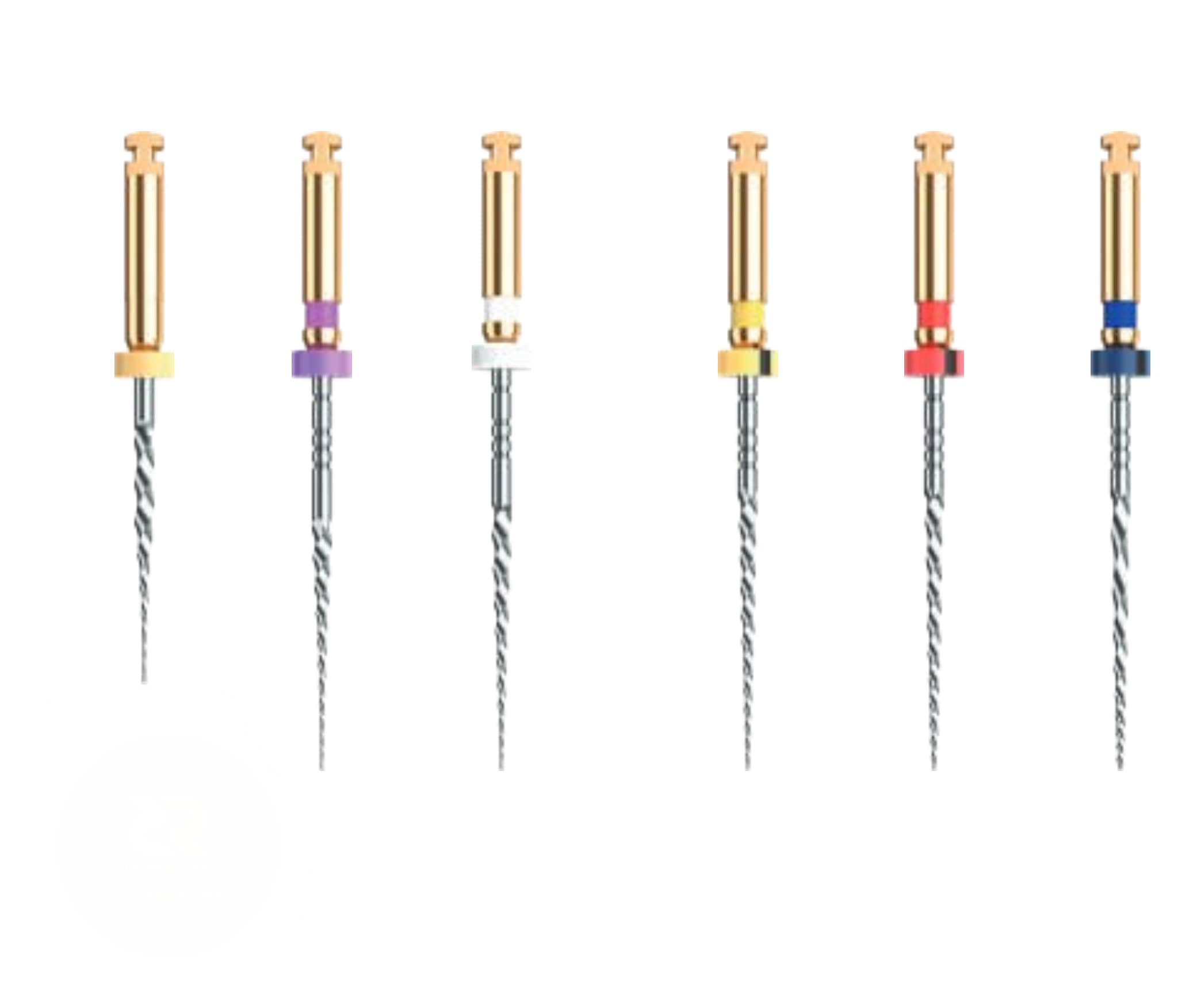 ProFlex File
