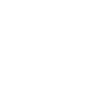 Decorative ring